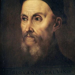 Portrait of John Calvin (1509-64) (oil on canvas)