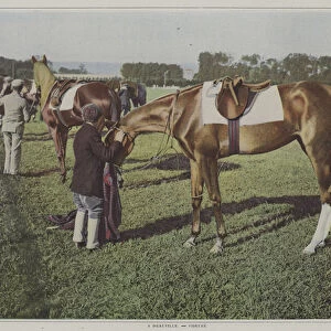 Racehorses at Deauville, France (colour photo)