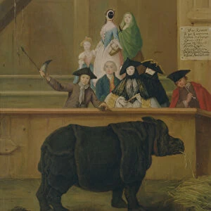 The Rhinoceros, 1751 (oil on canvas)