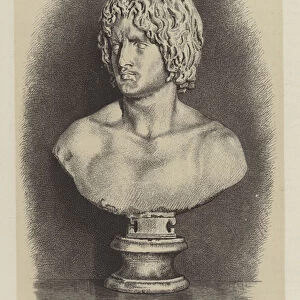 Roman bust of a Germanic man (engraving)