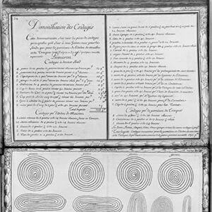 Ropes of a galley, plate 34, illustration from Demonstrations de toutes les pieces de bois
