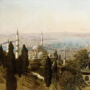 A View of Constantinople (oil on canvas)