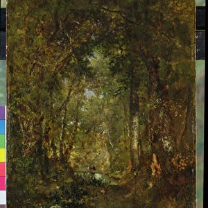 In the Wood at Fontainebleau (oil on panel)