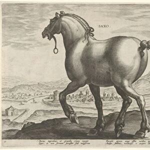 Horse from Saxony Germany, Hieronymus Wierix, Philips Galle, c. 1583 - c. 1587