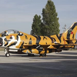 A Fiat G-91 fighter plane of the Portuguese Air Force