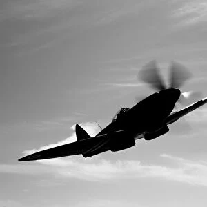 A Supermarine Spitfire Mk-18 in flight