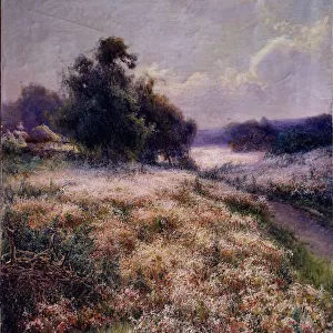Blooming Meadow, 1906. Artist: Berkos, Mikhail Andreyevich (1861-1919)