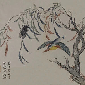 Kingfisher, Cicada, and Willow Tree, 19th century. Creator: Unknown