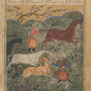 Rustam Captures the Horse Rakhsh, Folio from a Shahnama (Book of Kings)