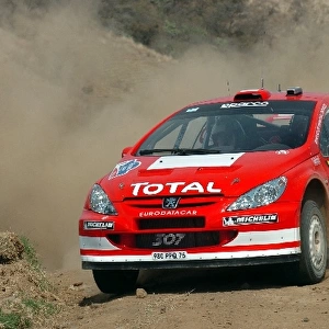 World Rally Championship: Harri Rovanpera / Risto Pietilainen Peugeot 206 WRC
