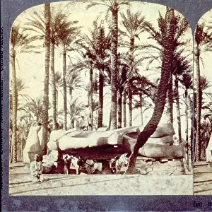 Statue of Ramses the Great in the archaeological site of Memphis, capital of Ancient Egypt. The colossal statue, lying on the ground, is in a place full of palm trees. In the foreground male figures in traditional dress